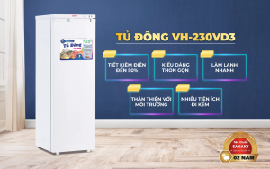 Tủ đông Sanaky 230VD3 thiết kế